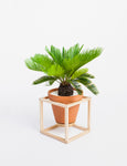 Decorative Accent Vase