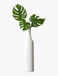 Monstera Leaf In Vase
